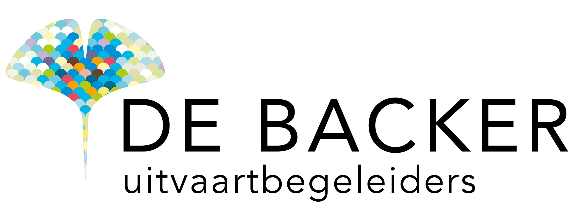 Logo De Backer